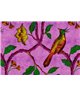 Birdofparadis2