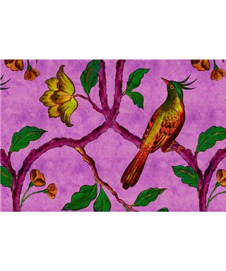 Birdofparadis2