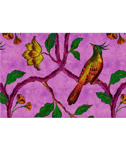 Birdofparadis2