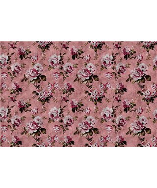 Las Rosas Silvestres 4
