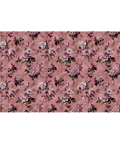 Wild Roses 4