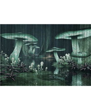 Fantasy 1