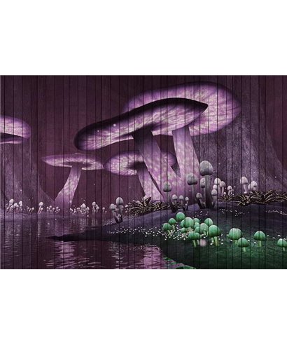 Fantasy 2