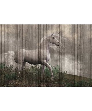 Fantasy 3