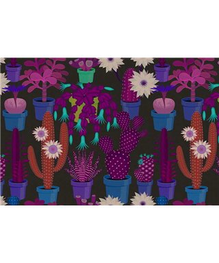 Cactus Garden1
