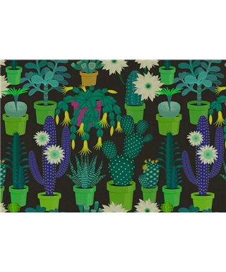 Cactus Garden2