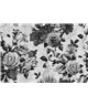 Spanish Rose 1