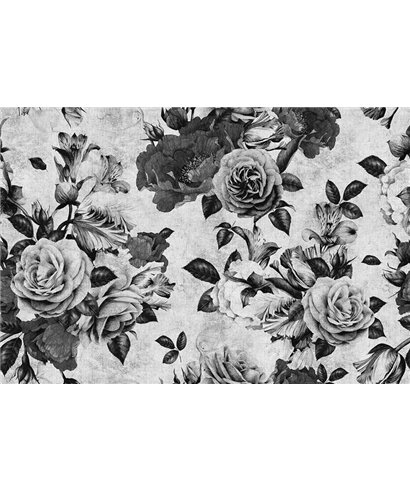 Spanish Rose 1