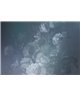 Dutch Pastel 1