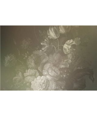 Holandés Pastel 4