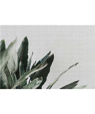 Jungla Urbana 1