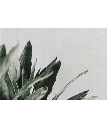 Urban Jungle 1