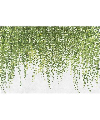 Hanginggarden1