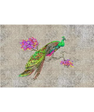 Pavo real 1