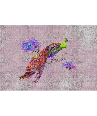 Pavo real 2