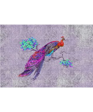 Peacock 3