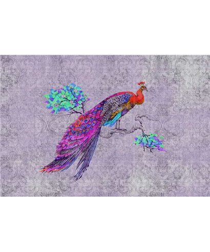 Peacock 3