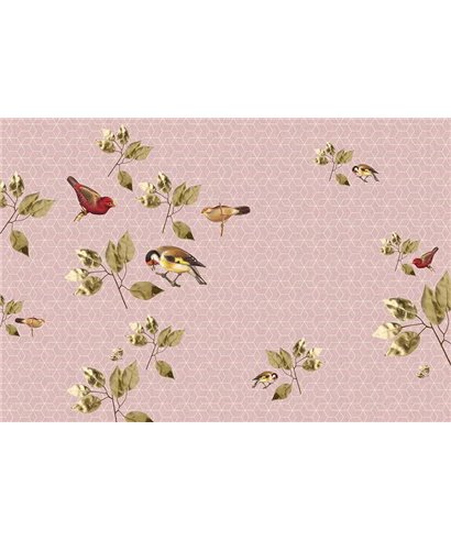 Brillantbirds1