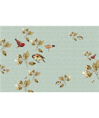 Brillantbirds2
