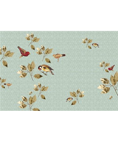 Brillantbirds2