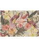 Exotic Birds 1