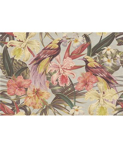 Exotic Birds 1