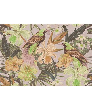 Les Oiseaux Exotiques 2