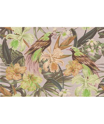 Exotic Birds 2