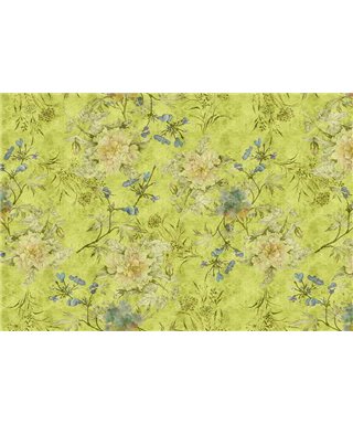 Tenderblossom1