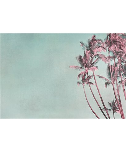 Artist DD119769