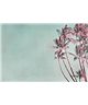 Artist DD119772