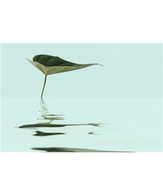 Artist DD119789