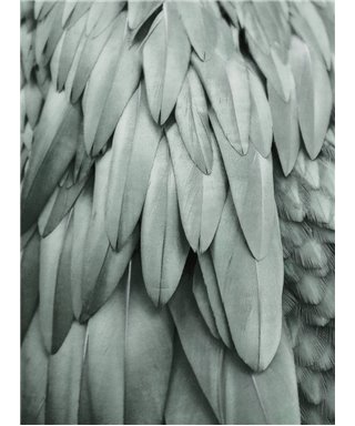 Artist DD119845