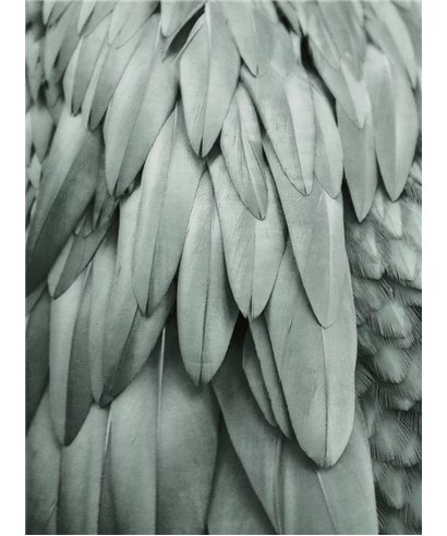 Artist DD119845