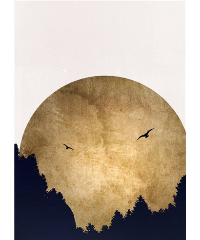 Artist DD119896