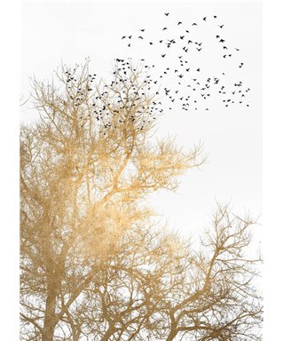 Artist DD119897