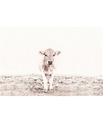 Artist DD119834