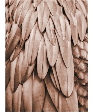 Artist DD119842