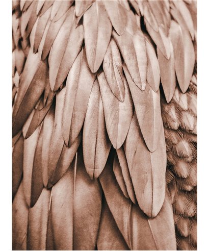 Artist DD119842