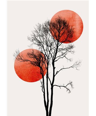 Artist DD119901
