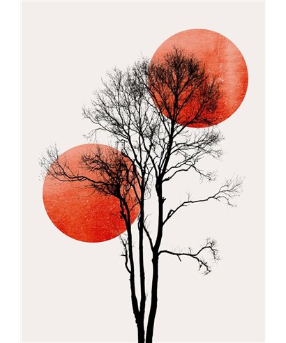 Artist DD119903