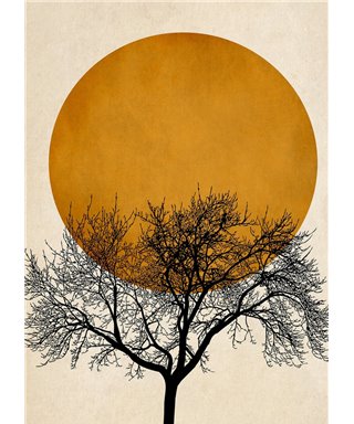 Artist DD119906