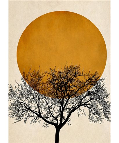 Artist DD119906