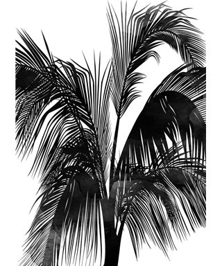 Artist DD119913
