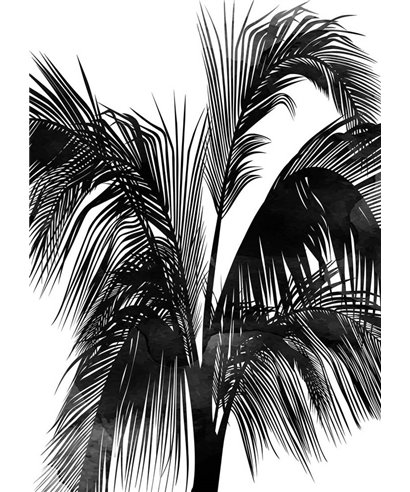 Artist DD119913