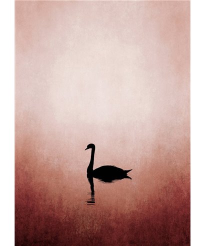 Artist DD119919