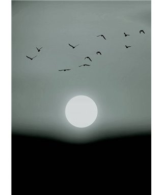 Artist DD119930