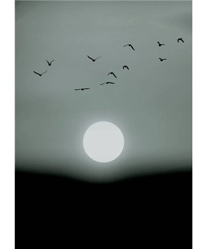 Artist DD119930