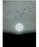 Artist DD119932