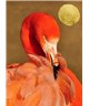 Artist DD119959